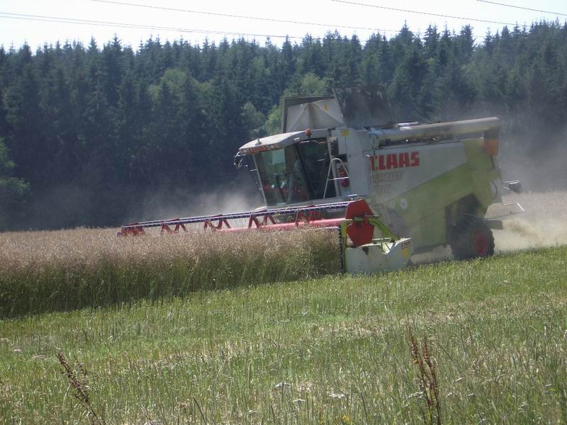bilder/7_8_2004/lexion.jpg