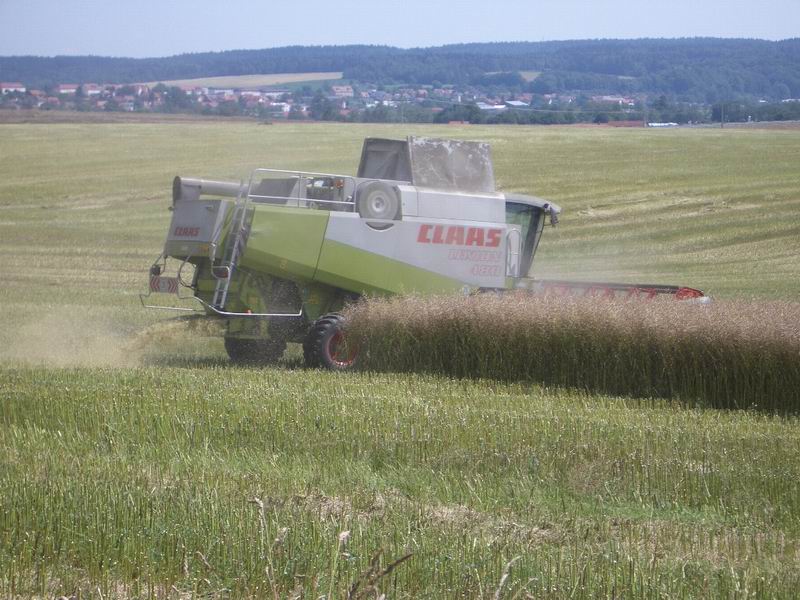 lexion_11.jpg