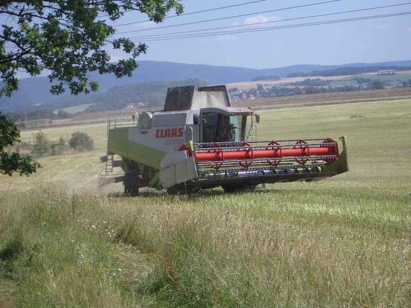 bilder/7_8_2004/lexion_8.jpg