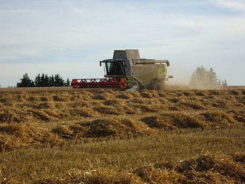 bilder/30_7_2002/fendt_824_6.jpg