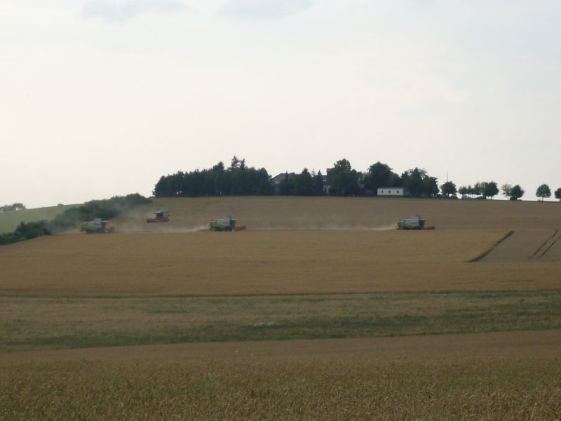 IMGP7278.jpg