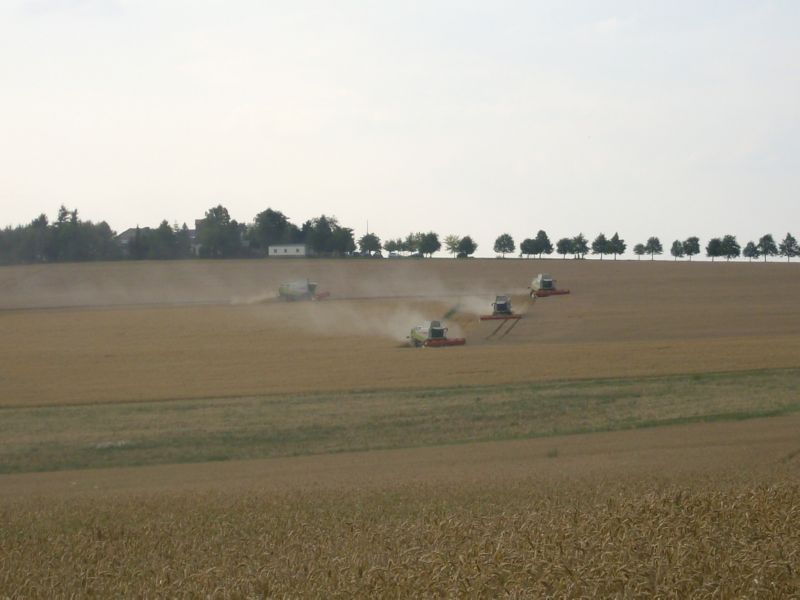 bilder/7_8_2009/IMGP7280.jpg