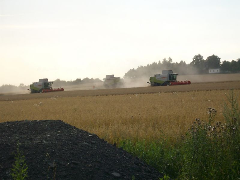 bilder/7_8_2009/IMGP7287.jpg