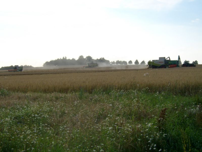 bilder/7_8_2009/IMGP7291.jpg