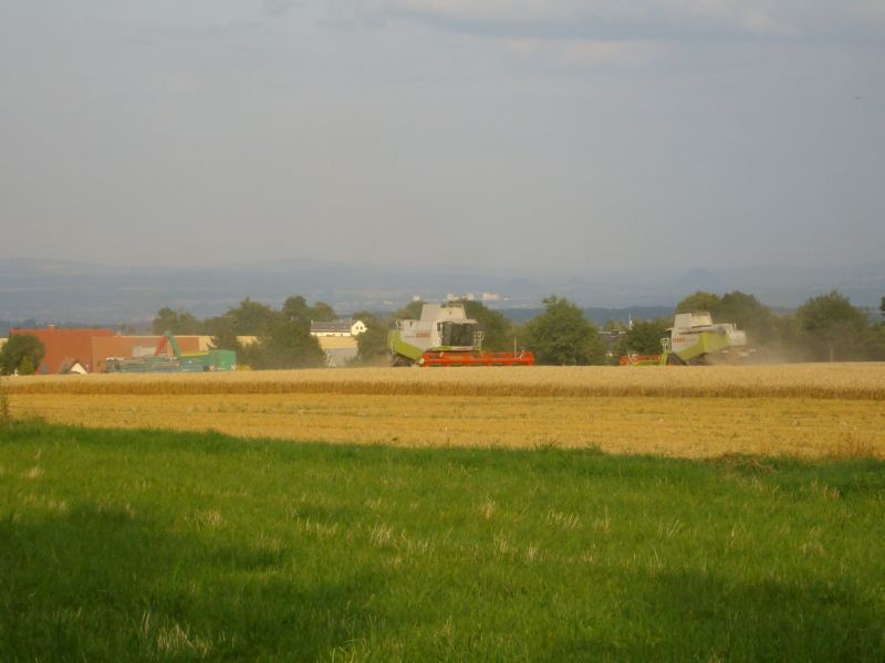 bilder/2024_07_01/DSC07598.jpg