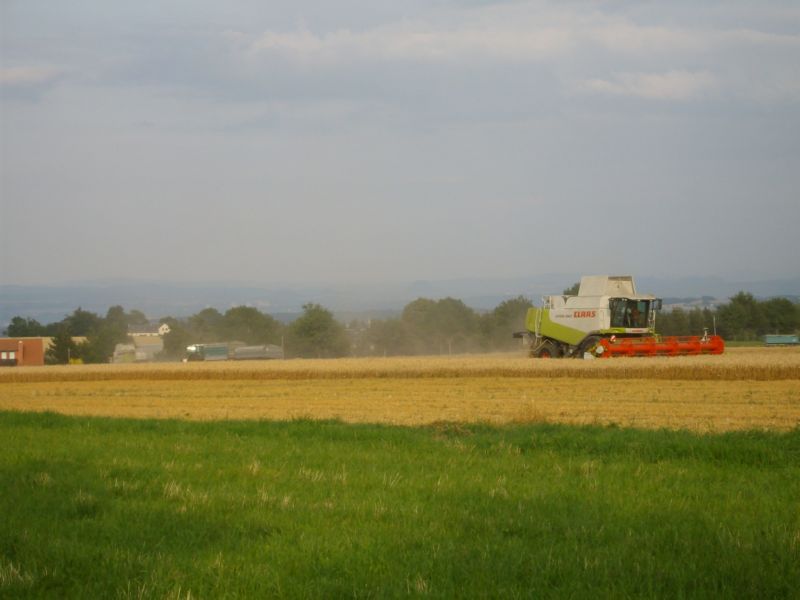 IMGP7307.jpg