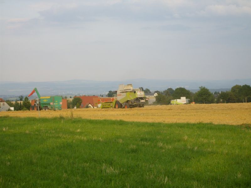 IMGP7321.jpg