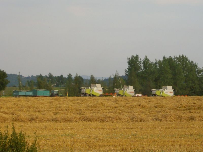 IMGP7322.jpg