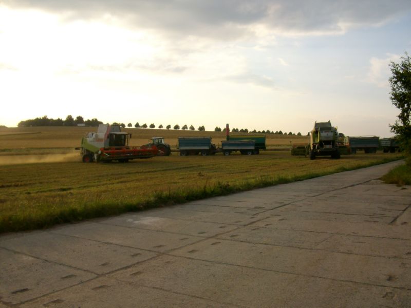 IMGP7365.jpg