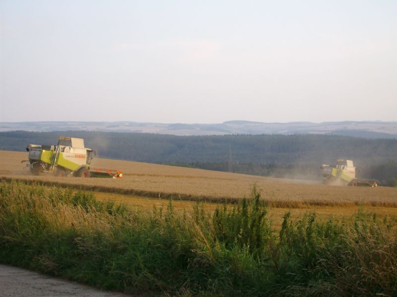 IMGP7367.jpg