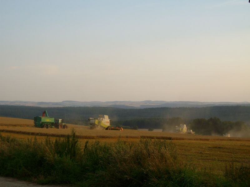 IMGP7370.jpg
