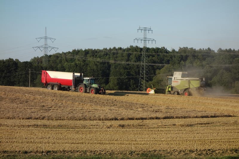 DSC09638.jpg