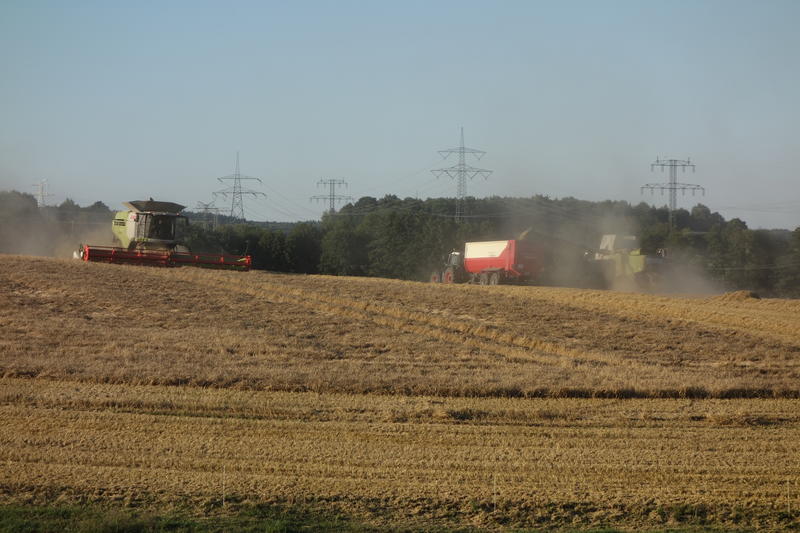 DSC09639.jpg