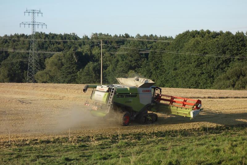 DSC09647.jpg