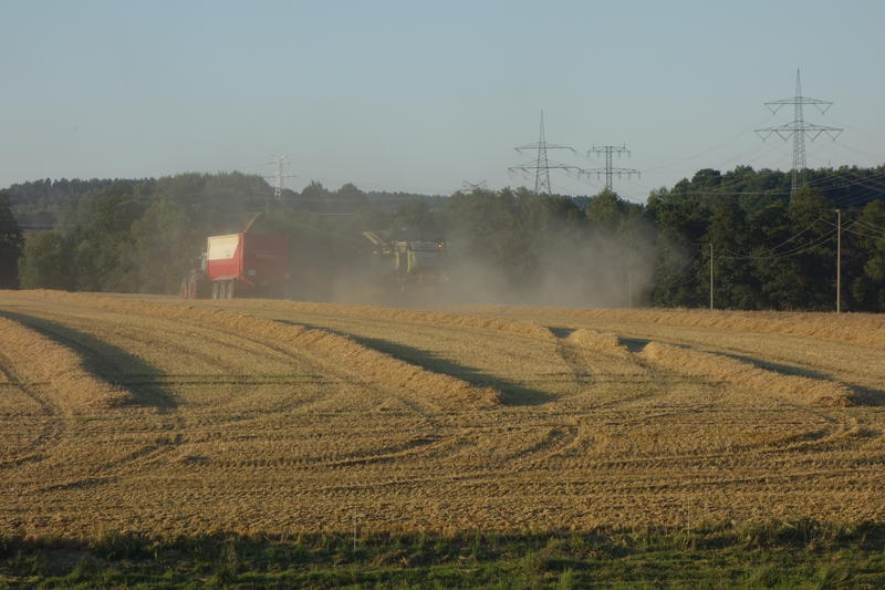 DSC09674.jpg