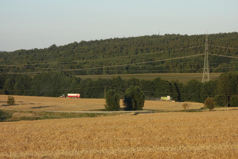 DSC09685.jpg