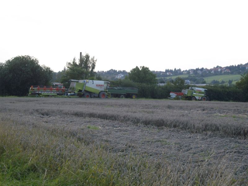 IMGP2894.jpg