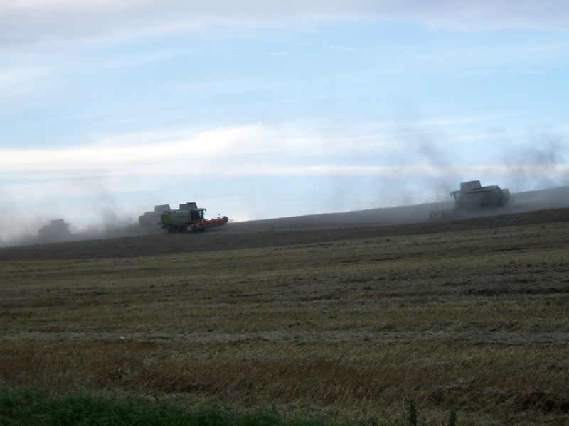 bilder/19_9_2012/CIMG0849.jpg