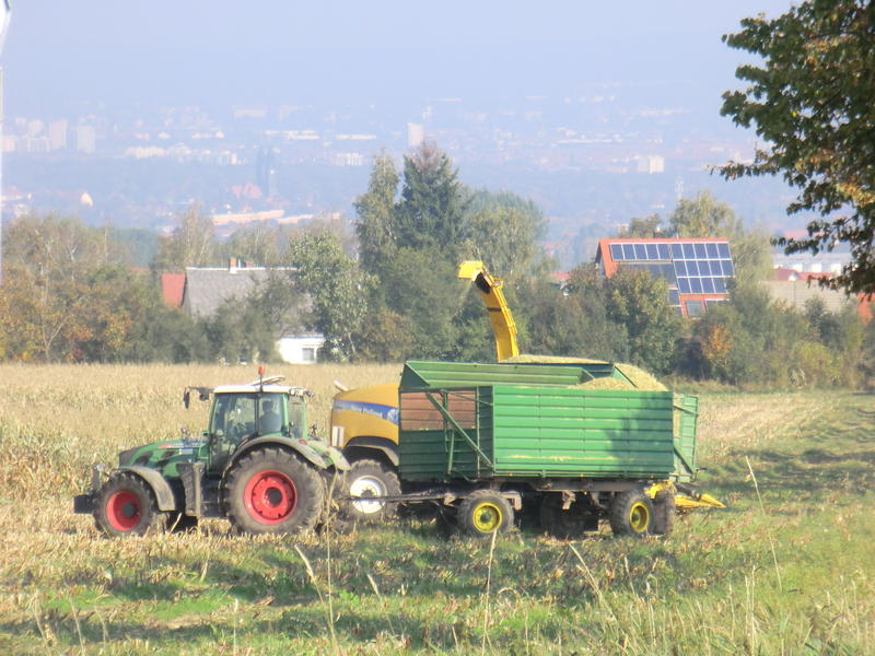 CIMG0215.jpg