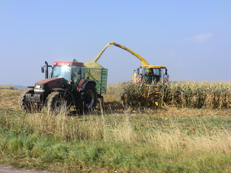 bilder/8_10_2013/CIMG0222.jpg