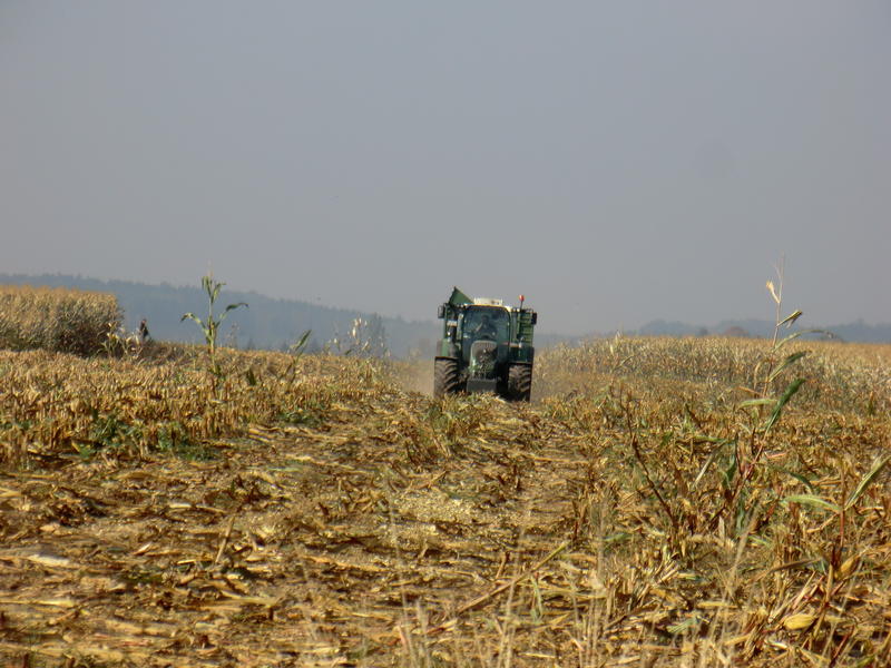 bilder/8_10_2013/CIMG0225.jpg