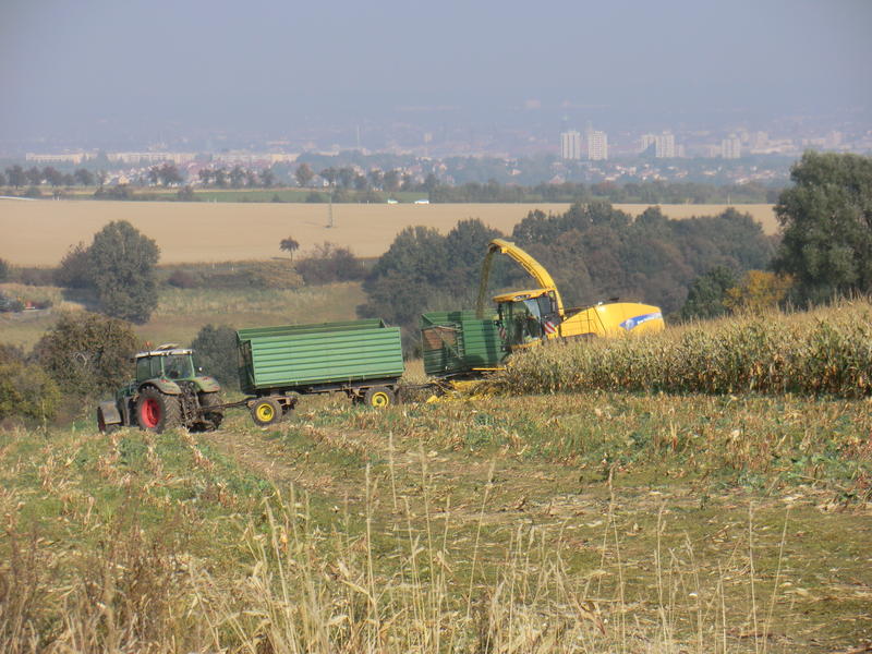 CIMG0232.jpg