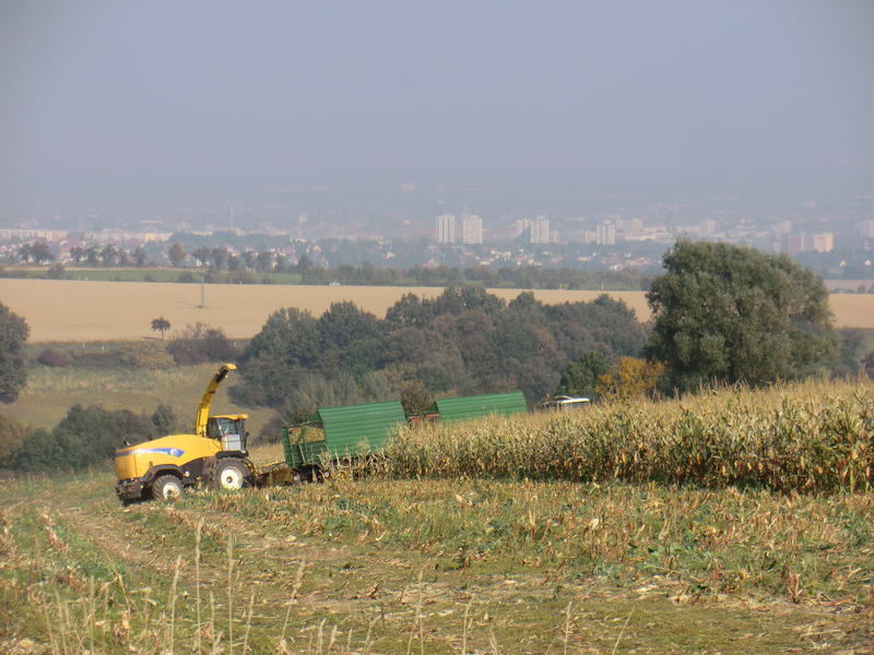 bilder/8_10_2013/CIMG0234.jpg
