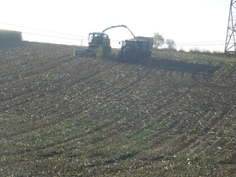 bilder/8_10_2013/CIMG0217.jpg
