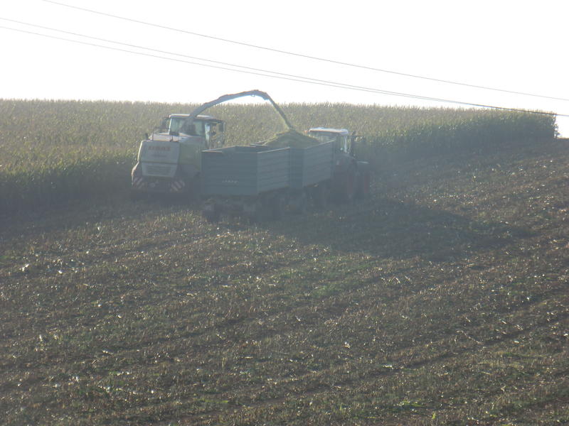 bilder/9_10_2014/CIMG8345.jpg