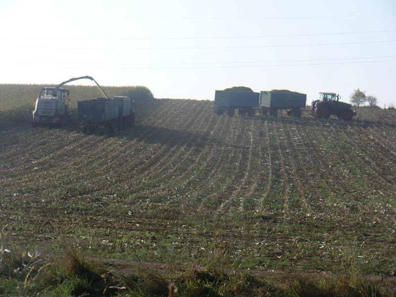 bilder/8_10_2013_2/CIMG0154.jpg