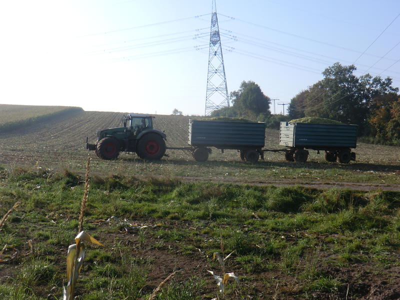 bilder/8_10_2013_2/CIMG0156.jpg