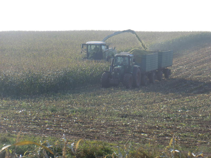 bilder/8_10_2013_2/CIMG0159.jpg