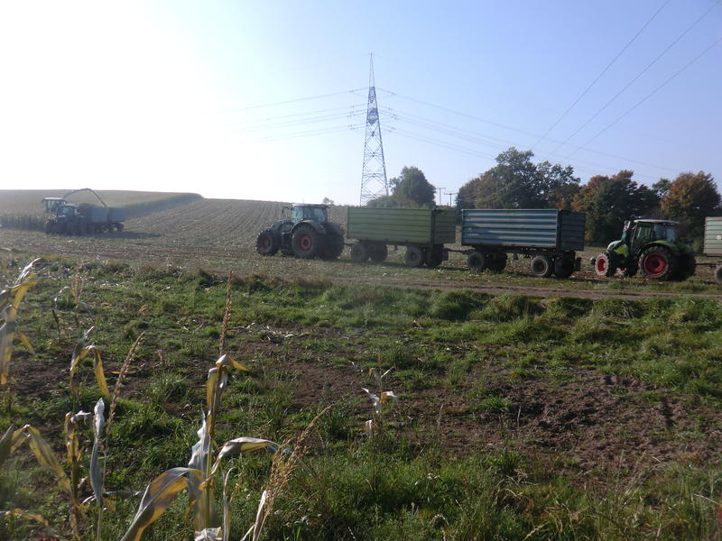 CIMG0160.jpg
