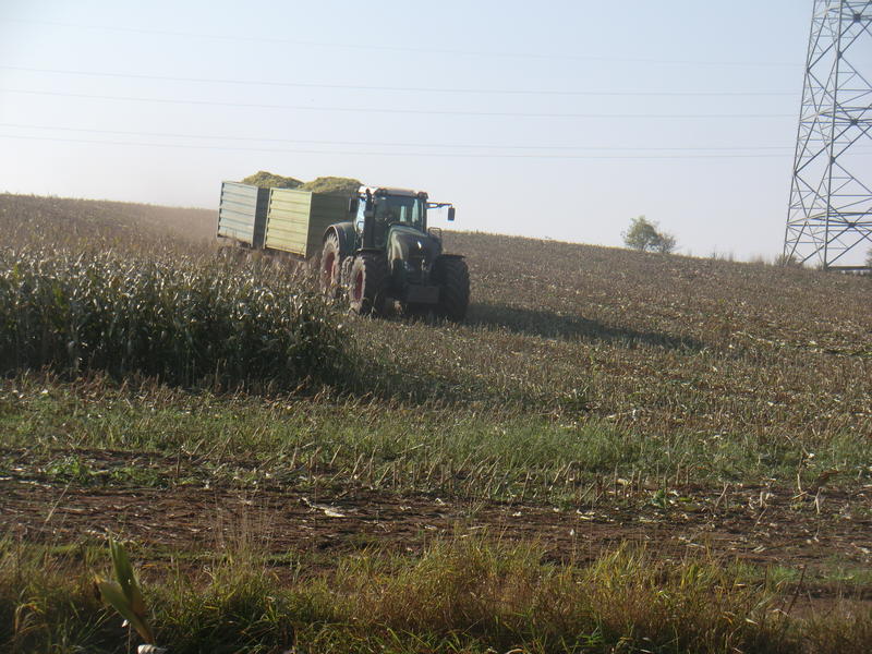 bilder/8_10_2013_2/CIMG0173.jpg