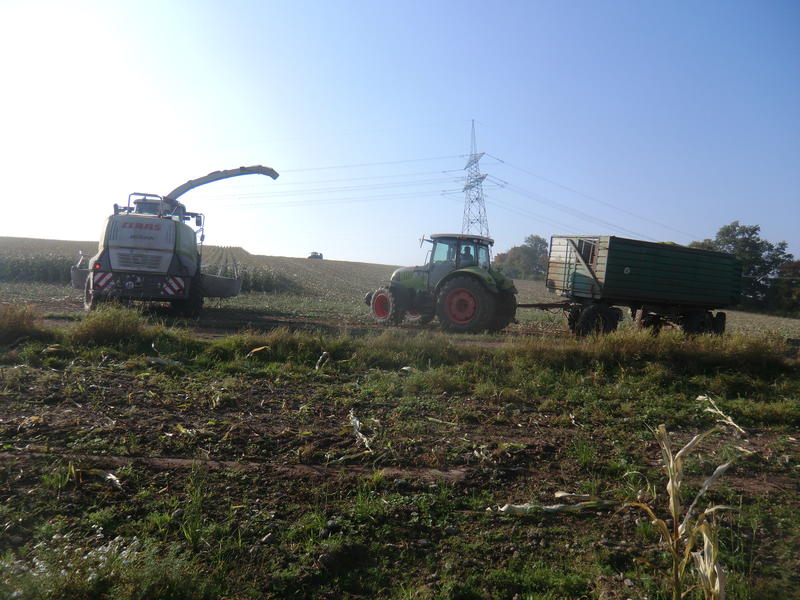 bilder/8_10_2013_2/CIMG0179.jpg