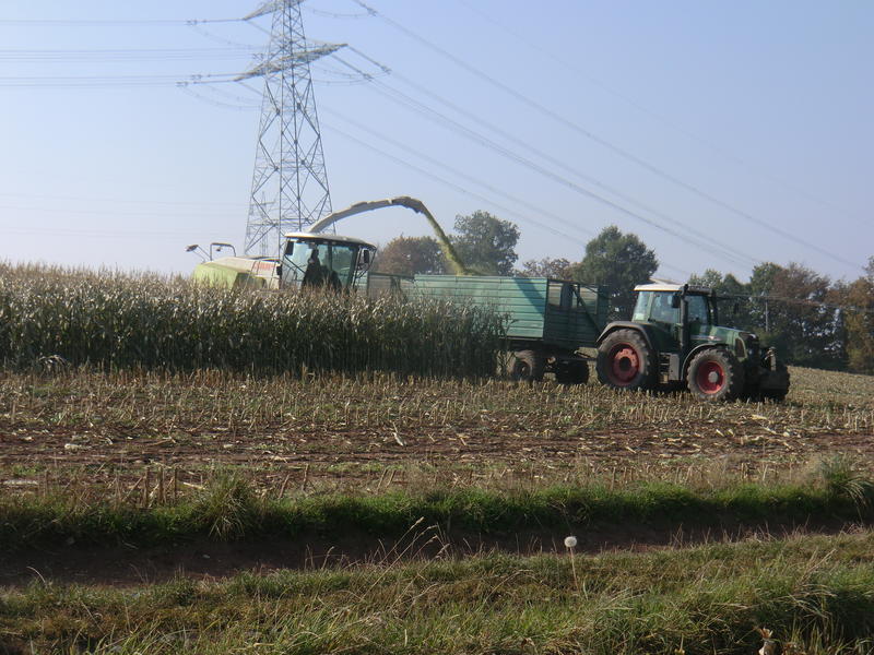 bilder/8_10_2013_2/CIMG0206.jpg