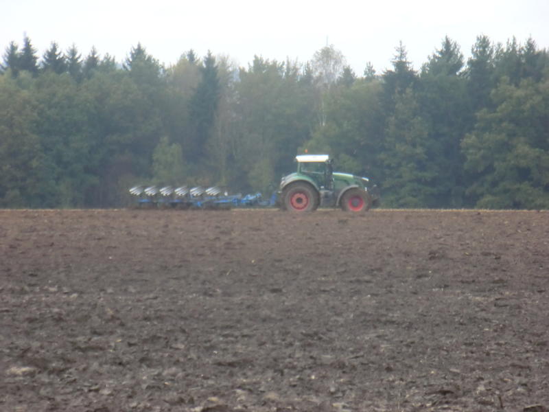 bilder/8_10_2014/CIMG8252.jpg