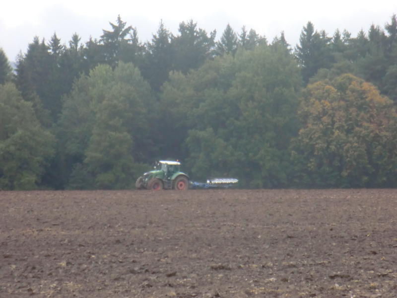 bilder/30_9_2011/CIMG5255.jpg