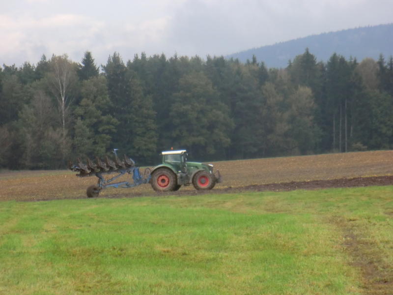 bilder/8_10_2014/CIMG8261.jpg