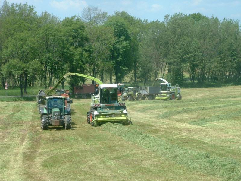 2x_jaguar_3x_fendt_zt_323.jpg