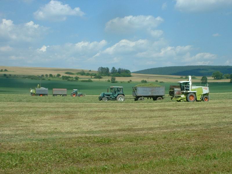 2x_jaguar_fendt_zt_323.jpg
