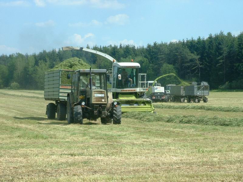 2x_jaguar_fendt_zt_323_2.jpg
