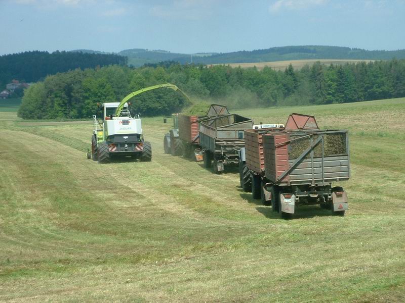 jaguar_2x_fendt.jpg