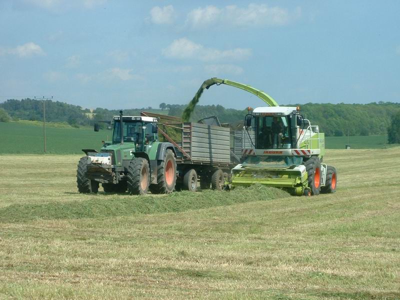 jaguar_fendt_12.jpg