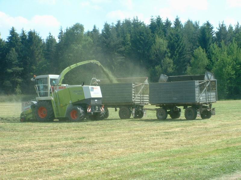 jaguar_fendt_14.jpg