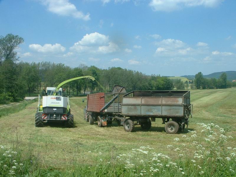 jaguar_fendt_2.jpg