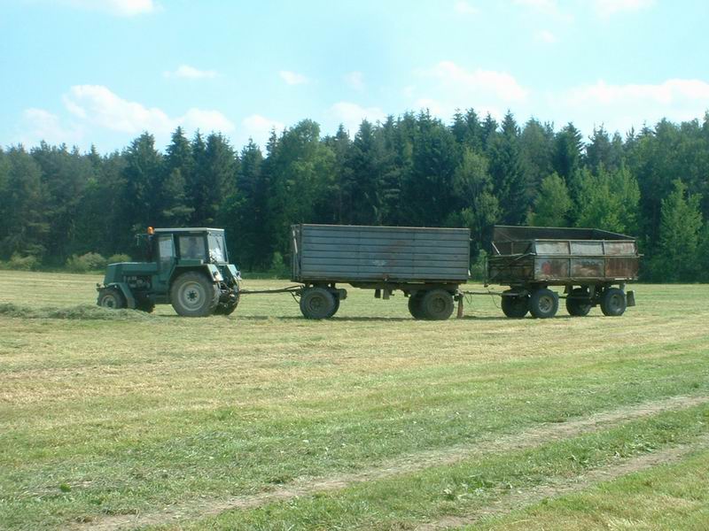 zt_323_10.jpg
