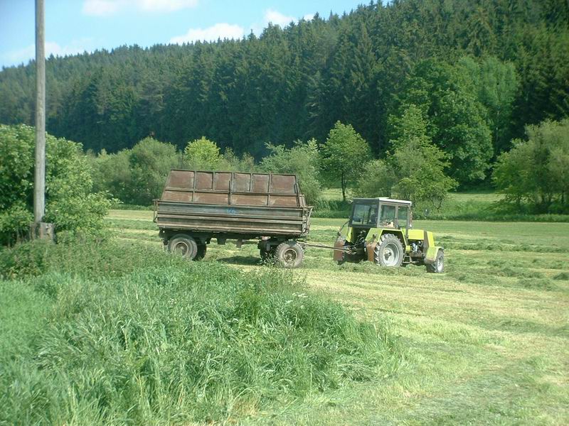 zt_323_11.jpg