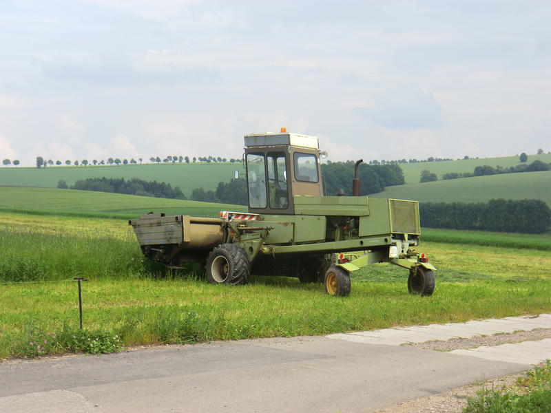 CIMG7812.jpg