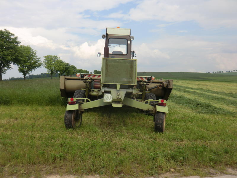 bilder/8_6_2013/CIMG7813.jpg